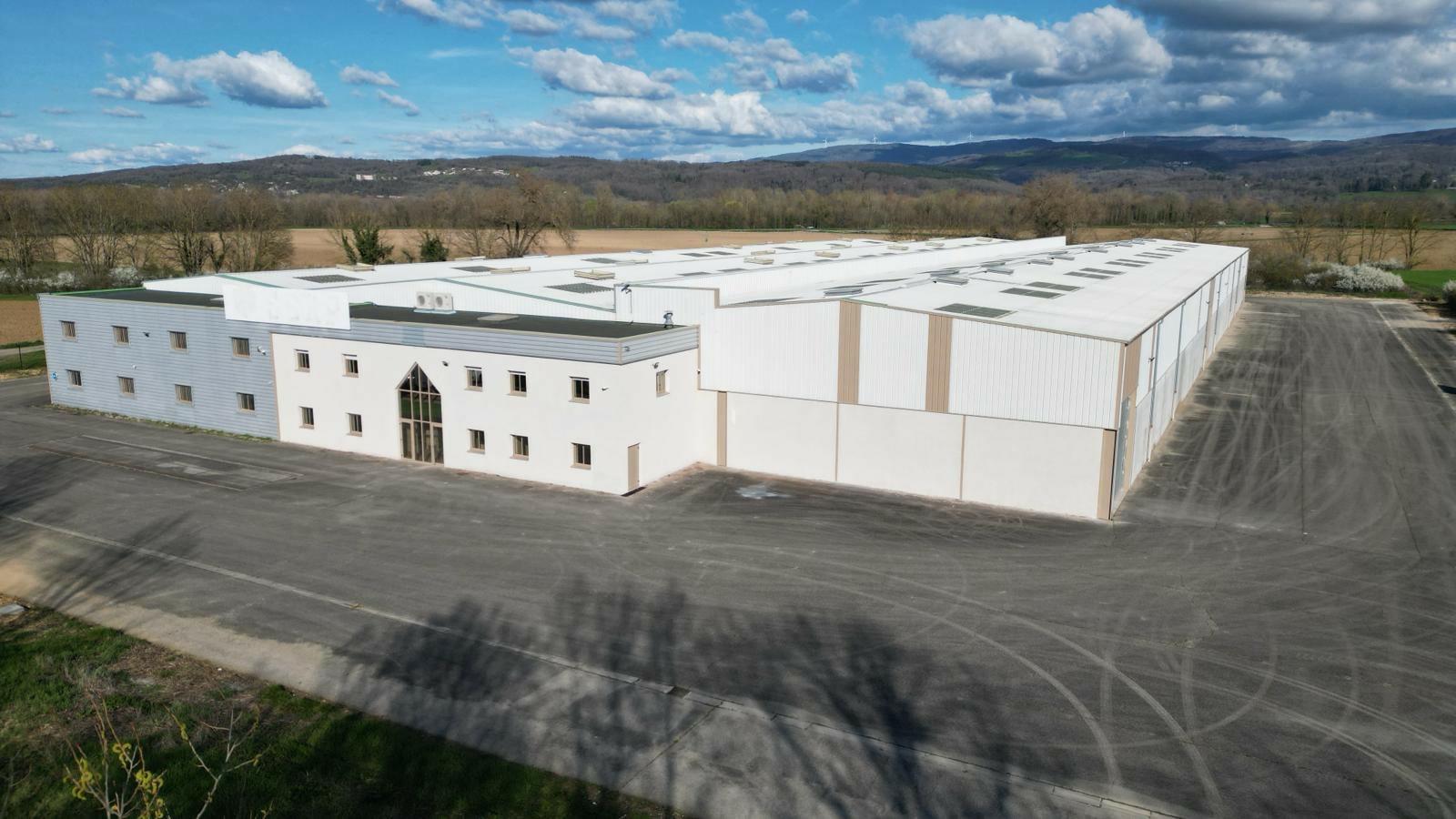 Local d'activité Pont-d'Ain 9051m² Vente local d'activité Pont-d'Ain Ain OVACT2109527 5